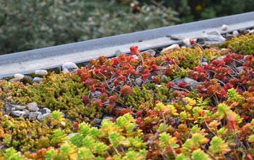 the cost of Hundon green roof installation