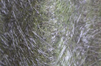 Hundon fibreglass roof work